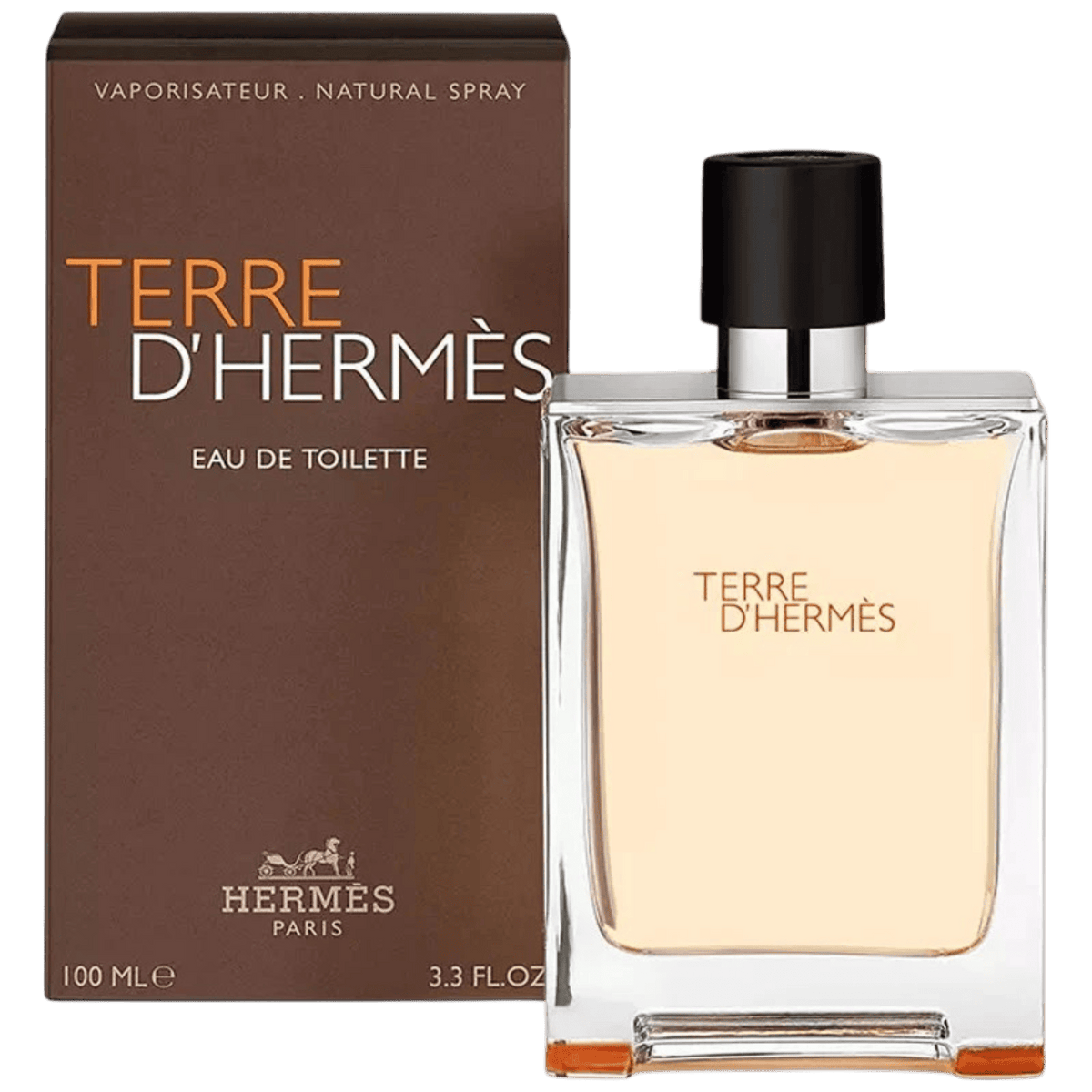 TERRE D-HERMES EDT 100ML