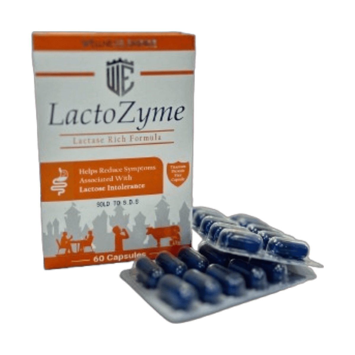 LACTOZYME 60CAP
