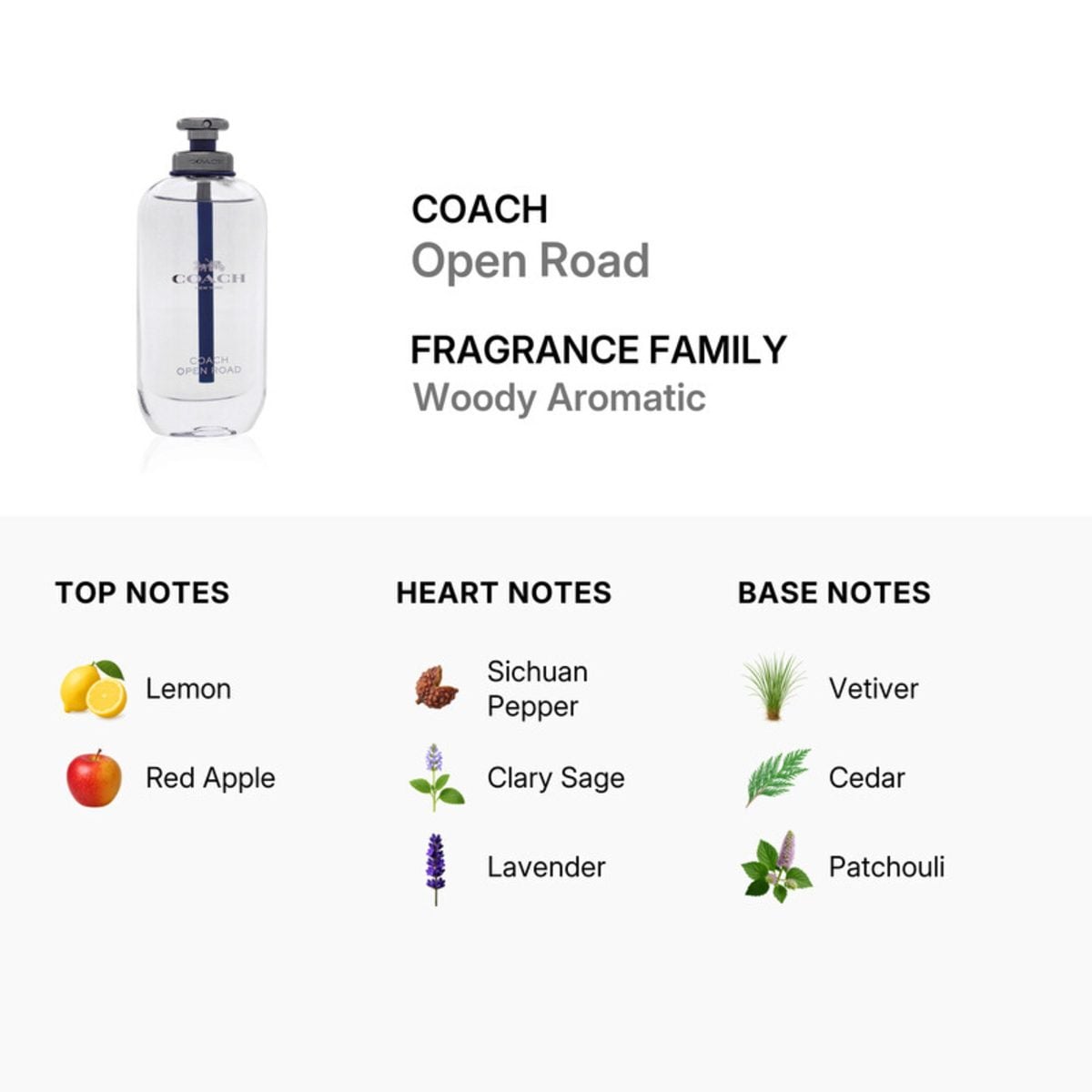 COACH OPEN ROAD EDT 100ML
