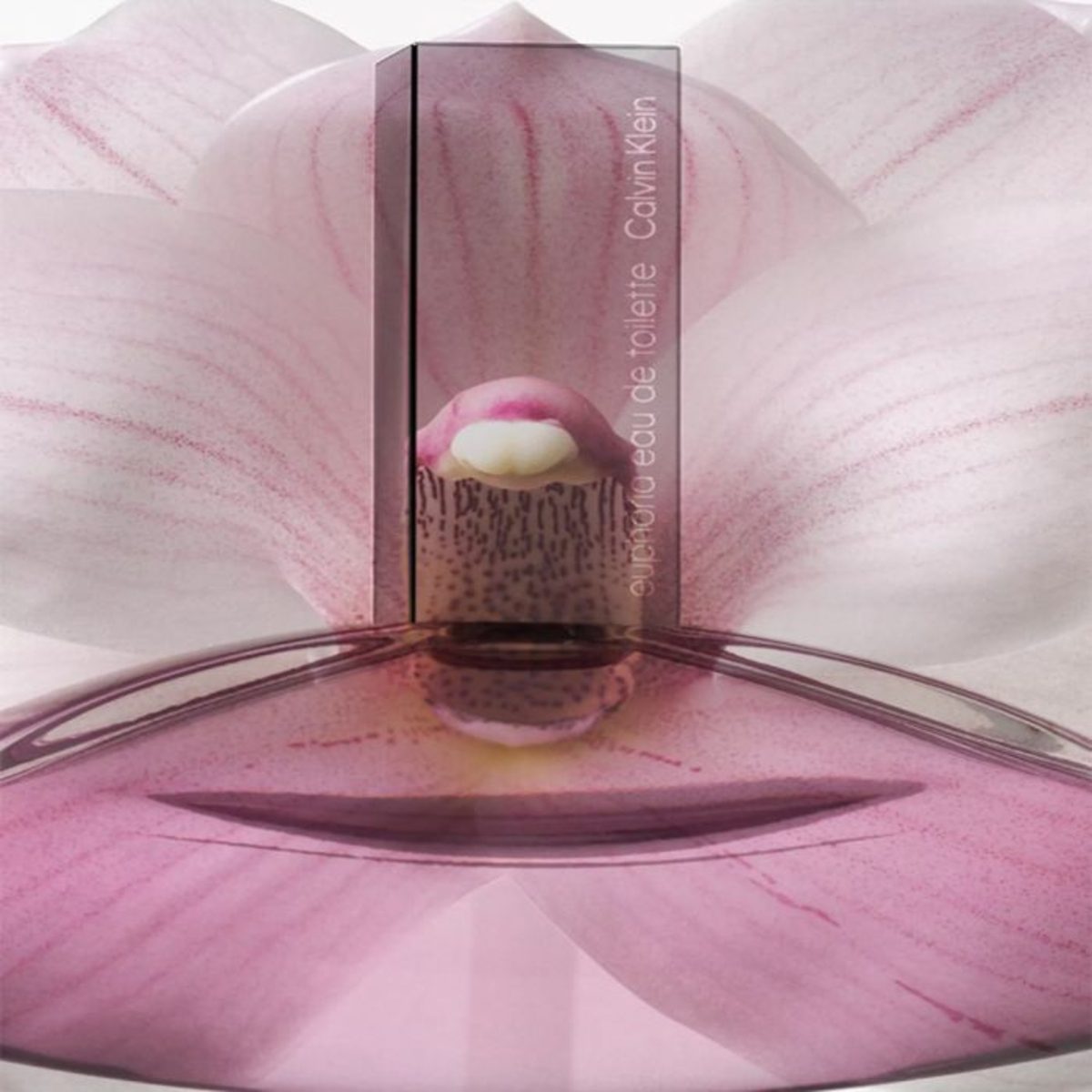 CK EUPHORIA EDT WOMEN 100ML