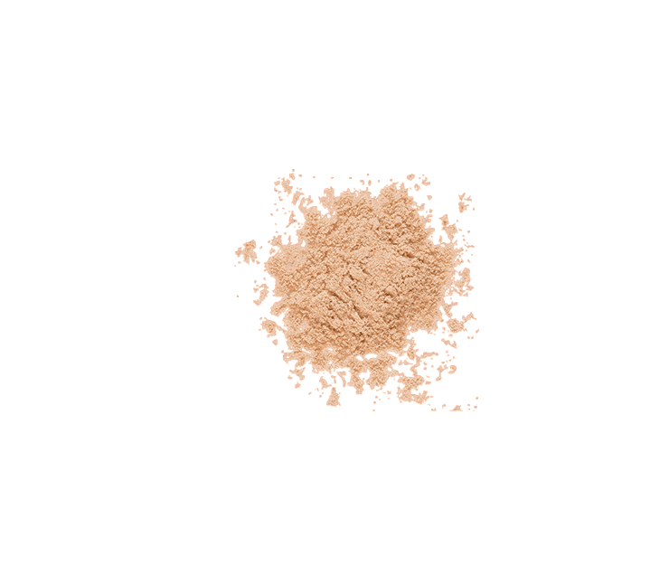 NEVERTI SETTING LOOSE POWDER NP200 - 002