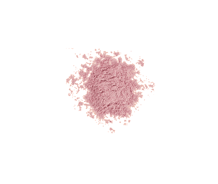 NEVERTI SETTING LOOSE POWDER NP200 - 003