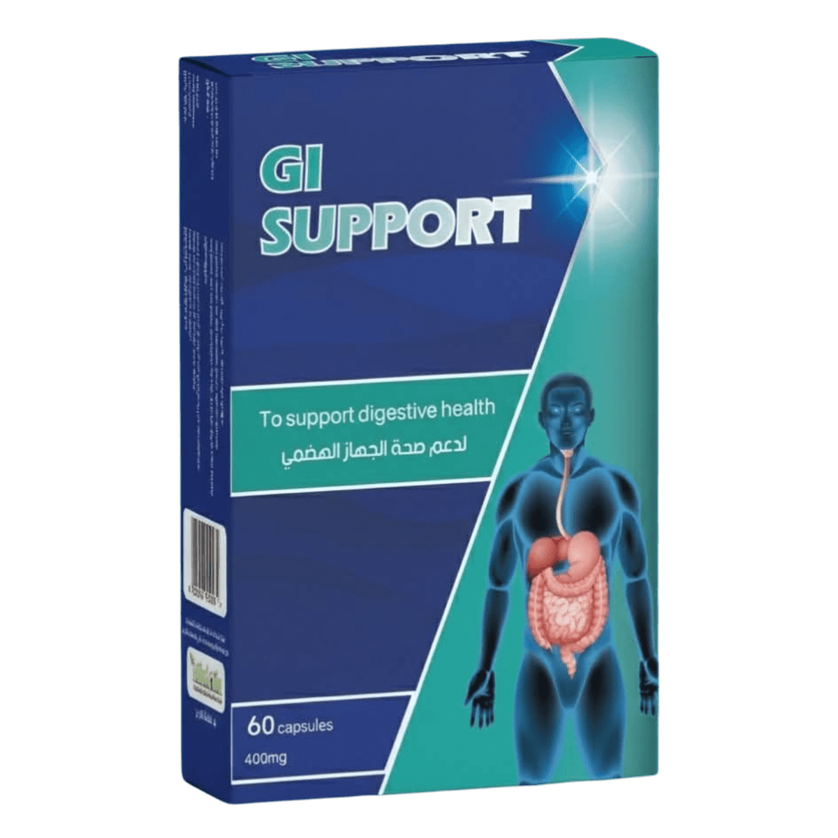 GI SUPPORT 400MG 60CAP