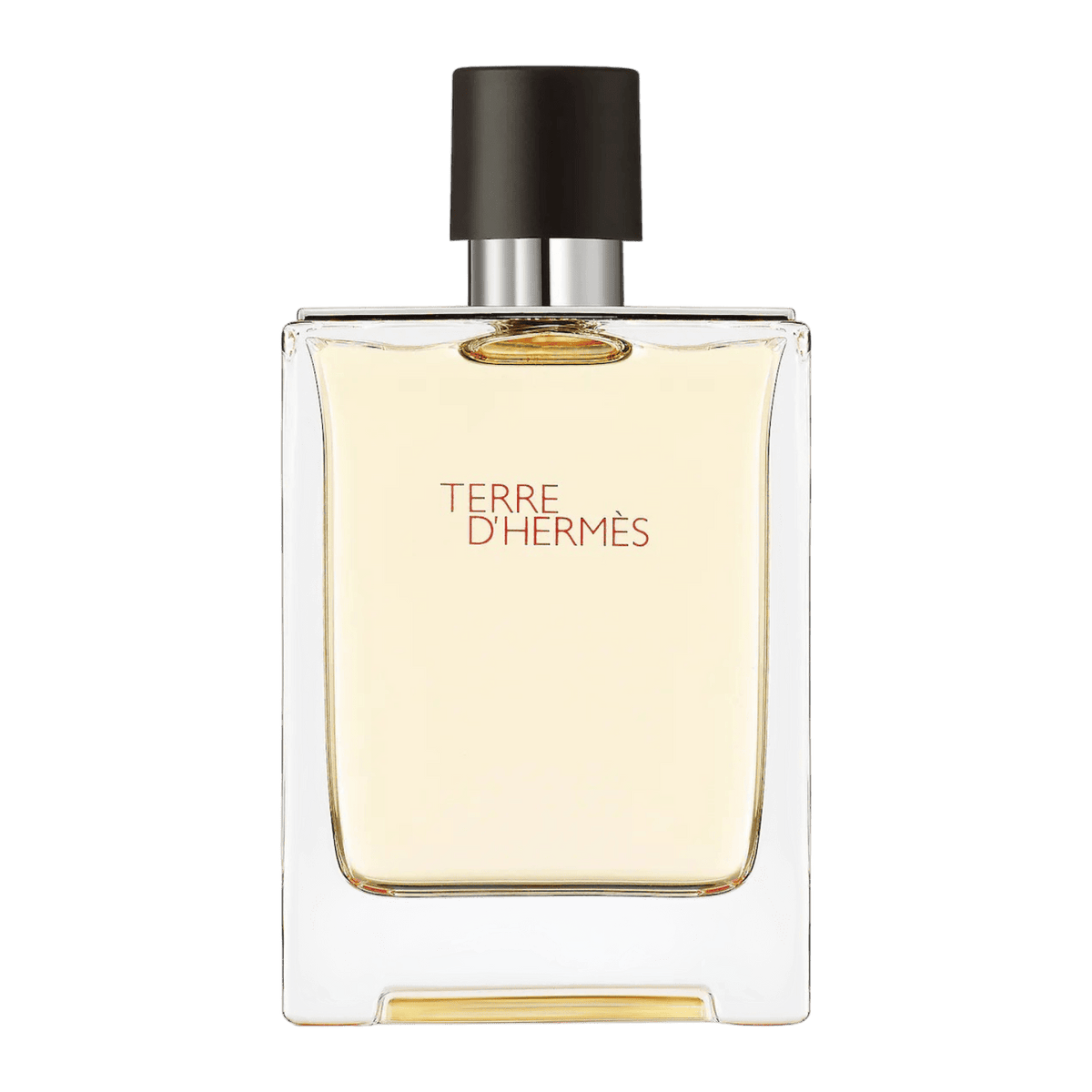 TERRE D-HERMES EDT 100ML