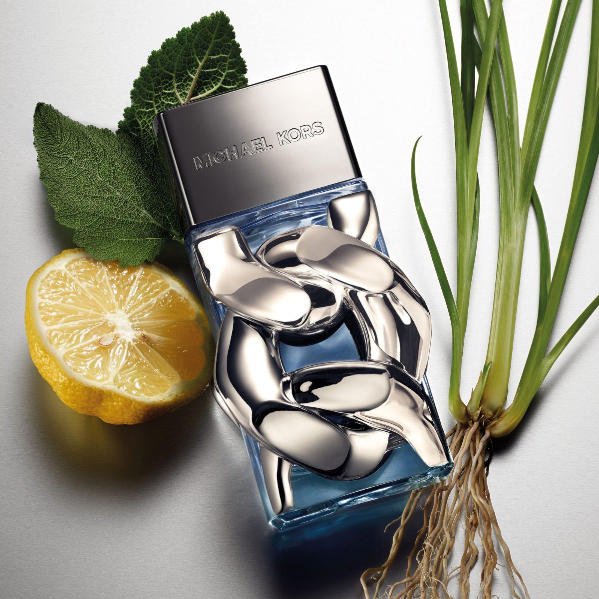 MICHAEL KORS POUR HOMME EDP 100 ML
