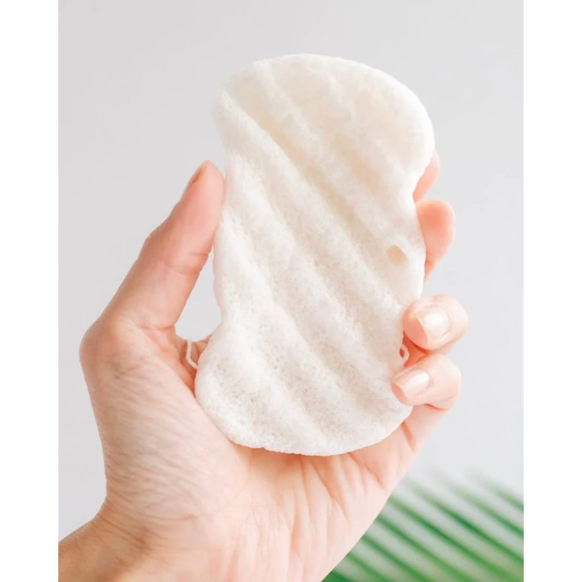 A BABY NATURAL KONJAC SPONGE INFANT